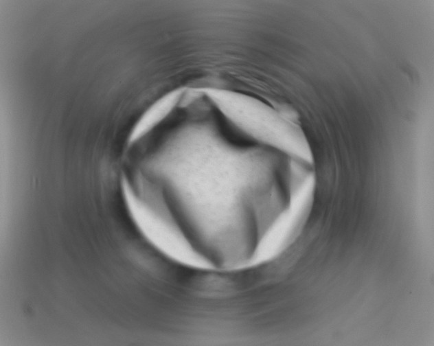 X0000113610180200910161938