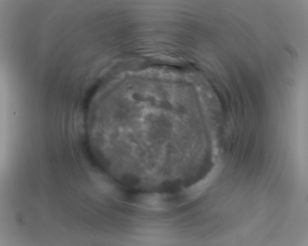 X0000113610182200910161938