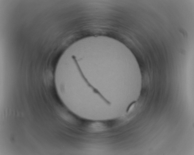 X0000113610183200910161938