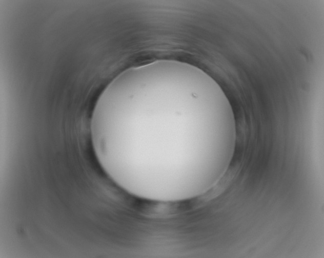 X0000113610184200910161938