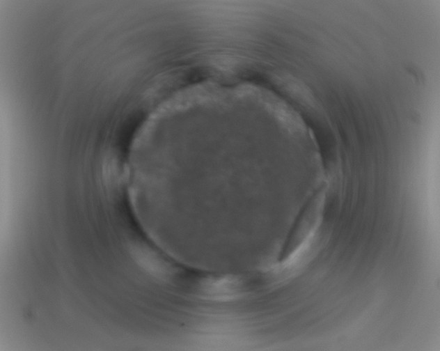 X0000113610186200910161938