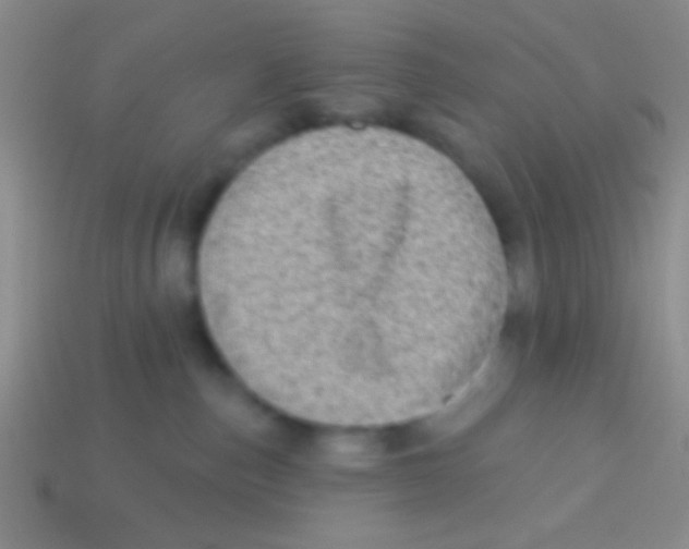 X0000113610187200910161938