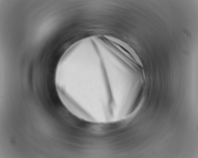 X0000113610190200910161938