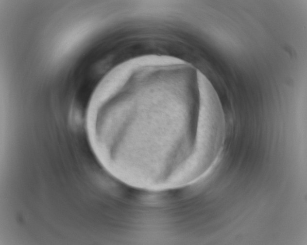 X0000113610191200910161938