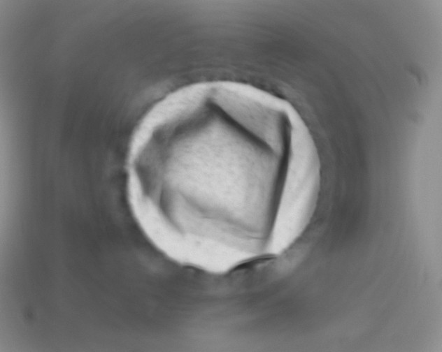 X0000113610192200910161938