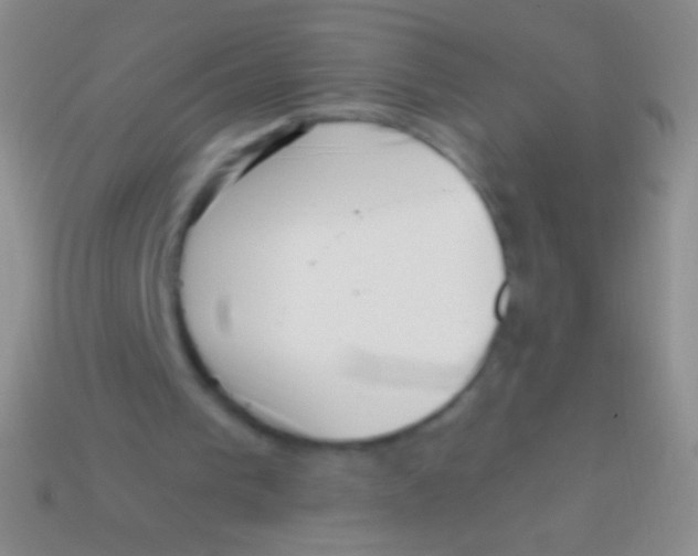 X0000113610193200910161937