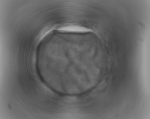 X0000113610194200910161937