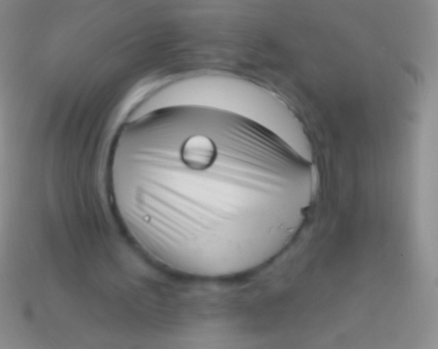 X0000113610195200910161937