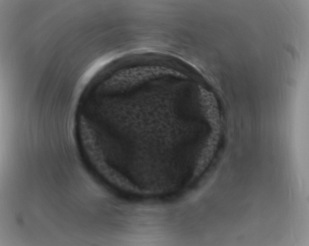 X0000113610196200910161937