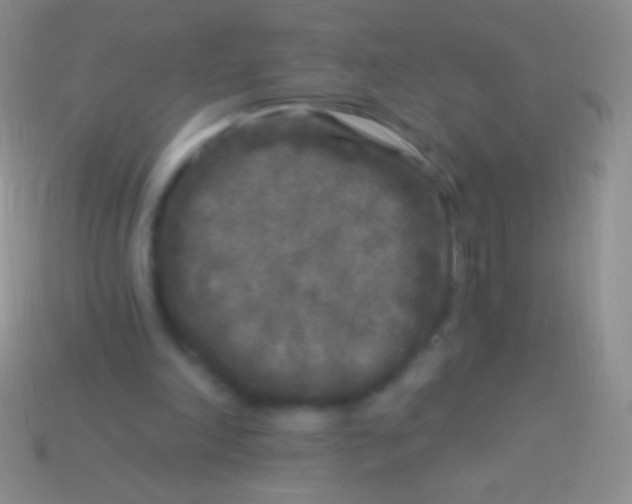 X0000113610198200910161937