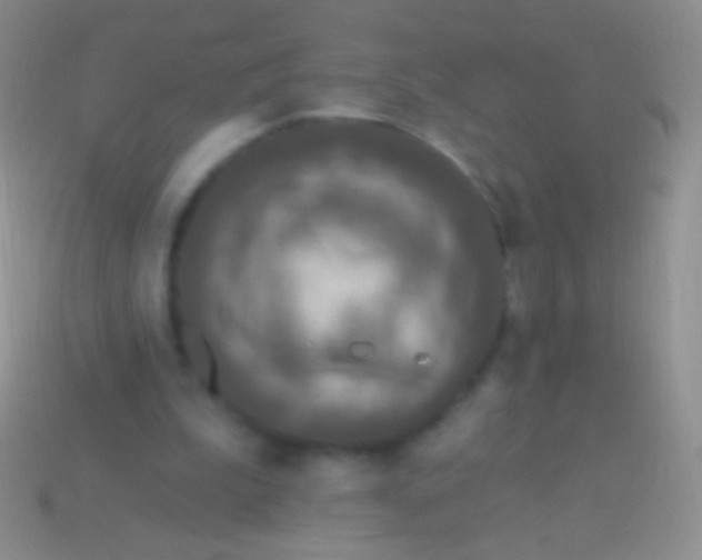 X0000113610199200910161937