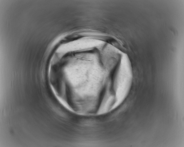 X0000113610200200910161937