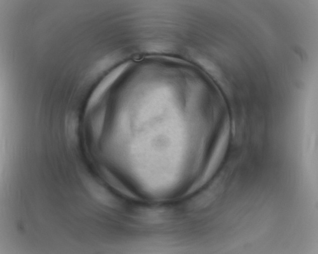 X0000113610201200910161937