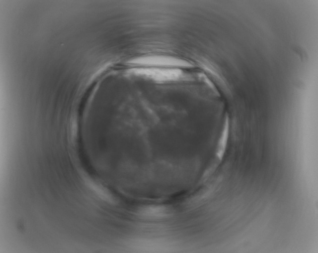 X0000113610202200910161937