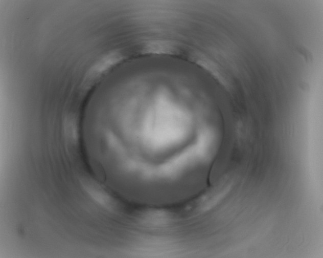 X0000113610203200910161937