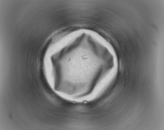 X0000113610204200910161937