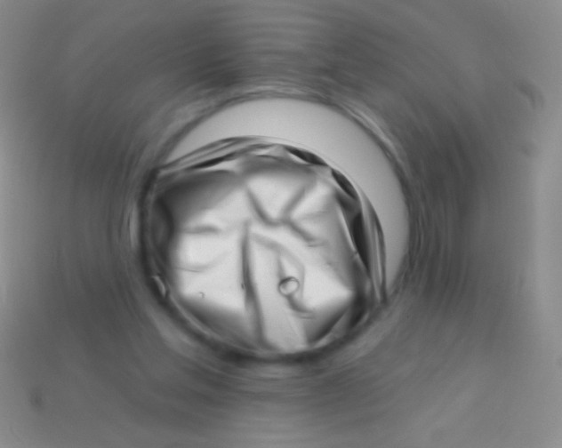 X0000113610205200910161937