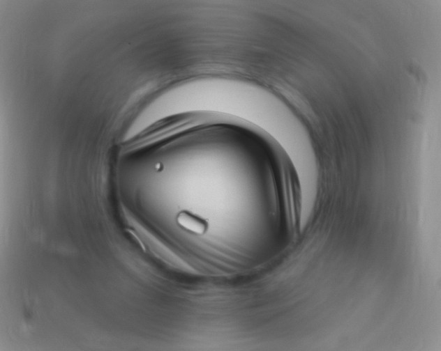 X0000113610207200910161937