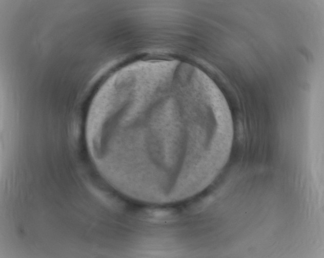 X0000113610208200910161937