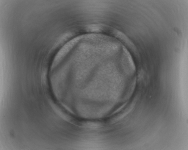 X0000113610209200910161937