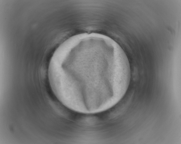 X0000113610210200910161937