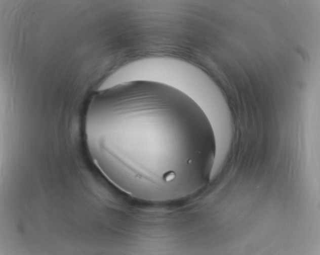 X0000113610213200910161937