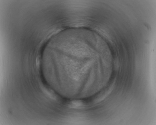 X0000113610214200910161937