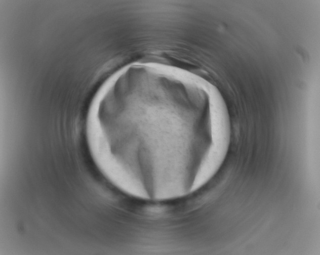 X0000113610216200910161937