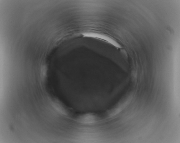 X0000113610219200910161937