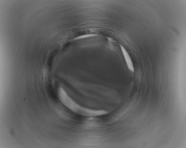 X0000113610222200910161937