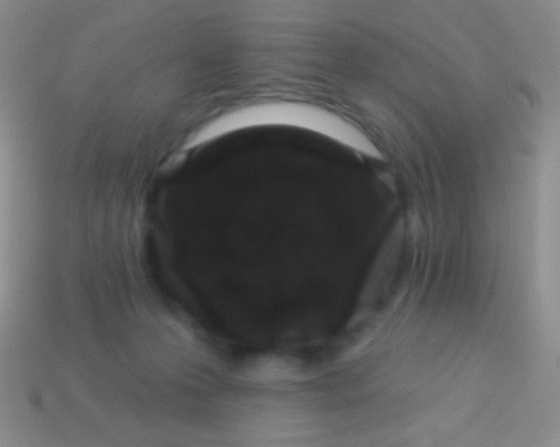 X0000113610223200910161937