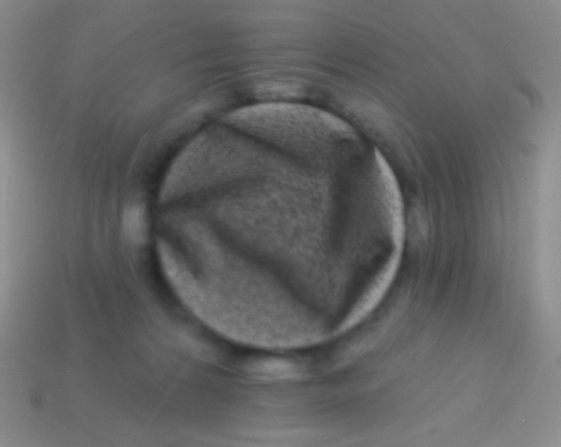 X0000113610224200910161937