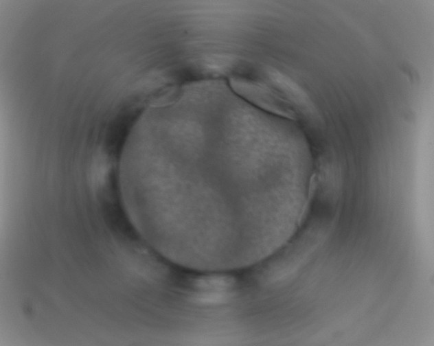 X0000113610225200910161937