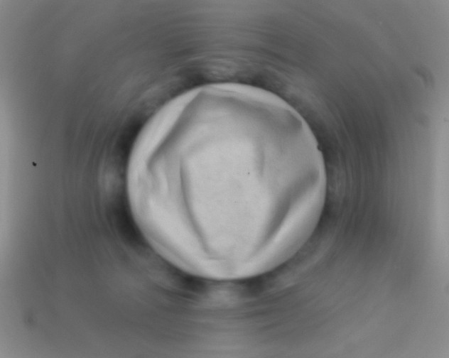 X0000113610226200910161937