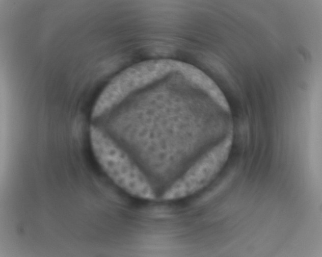 X0000113610228200910161937