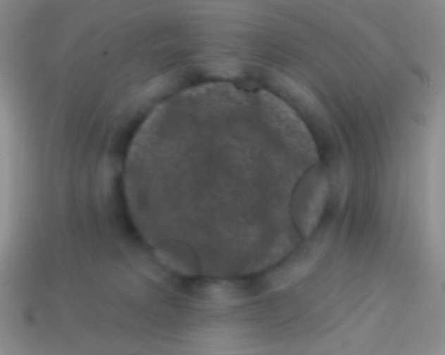 X0000113610229200910161937