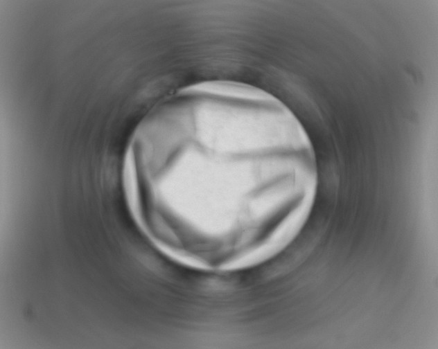 X0000113610232200910161936