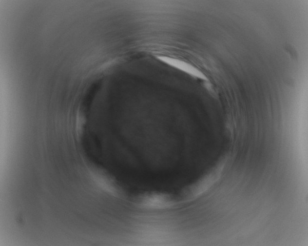 X0000113610235200910161936