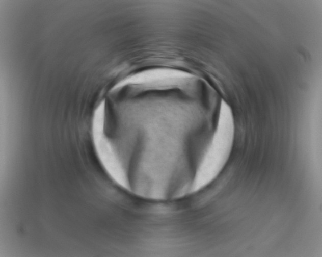 X0000113610236200910161936