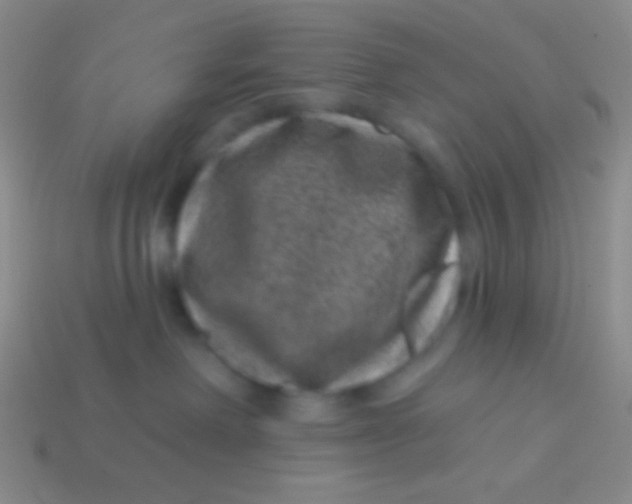 X0000113610238200910161936