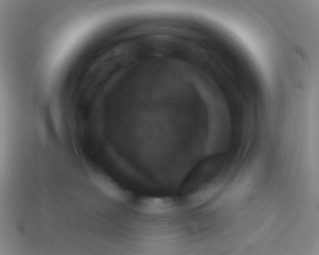 X0000113610239200910161936