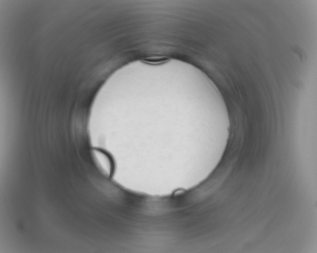 X0000113610240200910161936