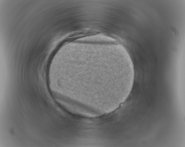 X0000113610241200910161936