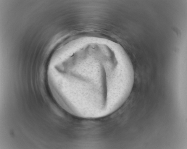 X0000113610242200910161936