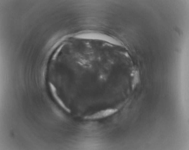 X0000113610243200910161936