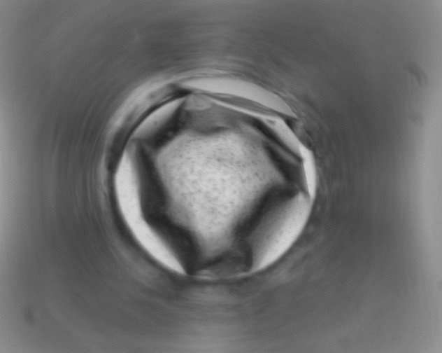 X0000113610244200910161936