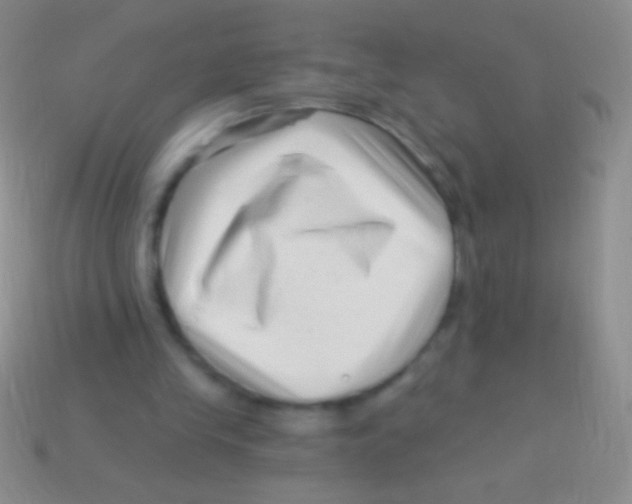 X0000113610245200910161936