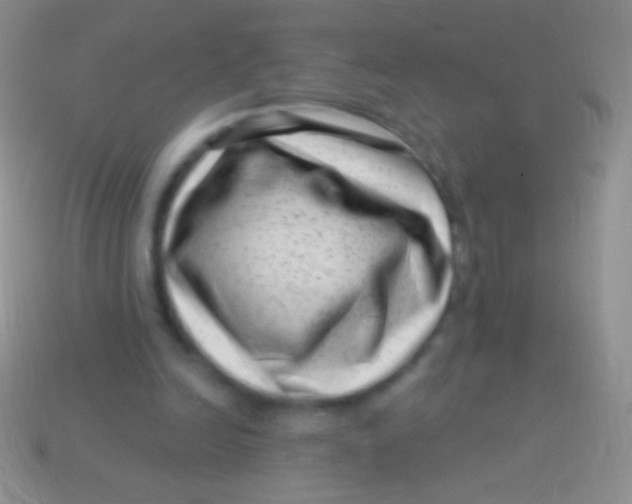 X0000113610246200910161936