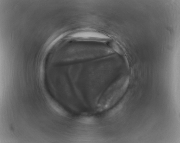 X0000113610247200910161936