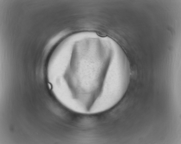 X0000113610248200910161936